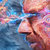XuD thumbnail