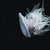 Vonlin Yoon thumbnail