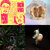 berlindisaster thumbnail