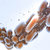 Medulasa thumbnail