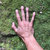 wingding thumbnail