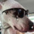 Greyson thumbnail