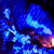 Chromatic thumbnail